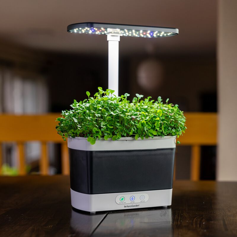 Microgreens Kit for Harvest Gardens image number null